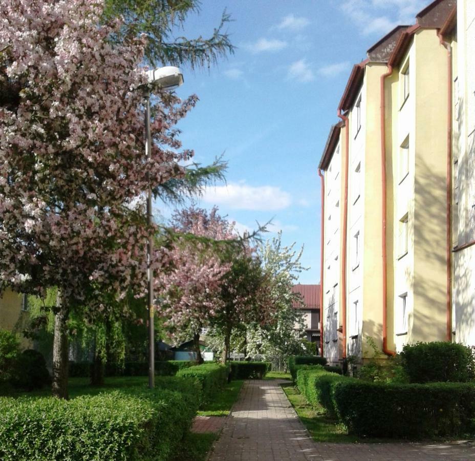 Apartament Jasminowy Apartment Kudowa Zdroj Ngoại thất bức ảnh